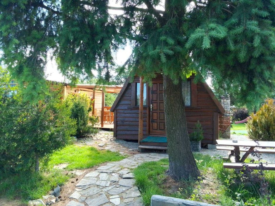 Agroturystyka "Sosnowy Gaj"