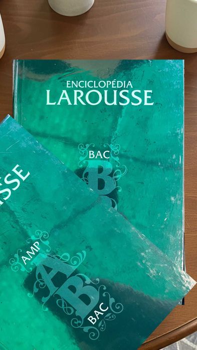 Enciclopédia Larousse 17 Volumes | Coleção de Livros Larousse | Embalada