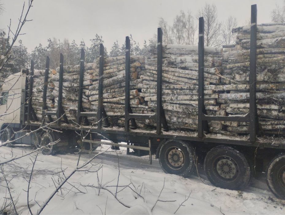 Продам дрова соснові