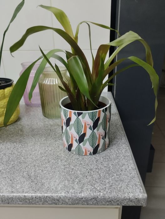 Vasos em loiça e vidro decorativo