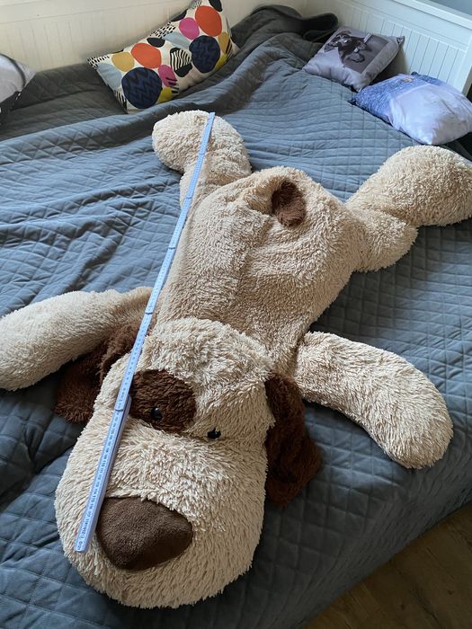 Maskotka duzy piesek