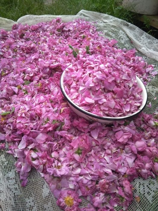 Варення з пелюсток чайної троянди (рози)