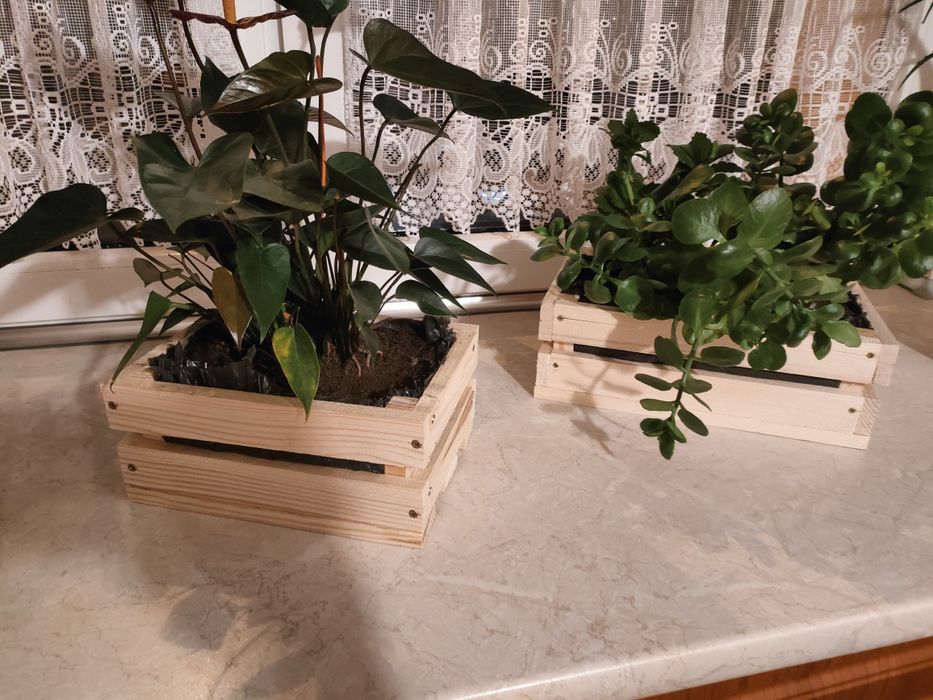 Skrzyneczka drewniana ozdobna, na kwiatki, przetwory sosnowa