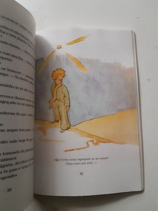 Livro o principezinho