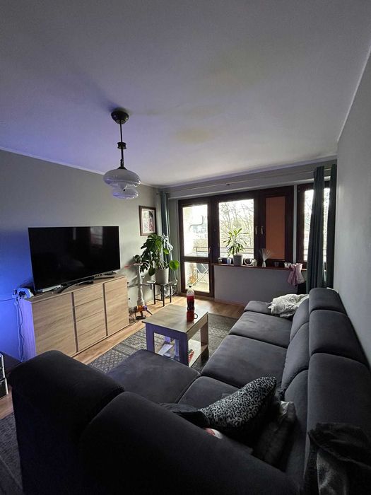 Mieszkanie do wynajęcia