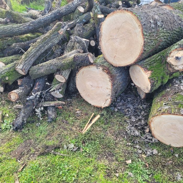 Drewno opałowe kominkowe opał klocki i łupane