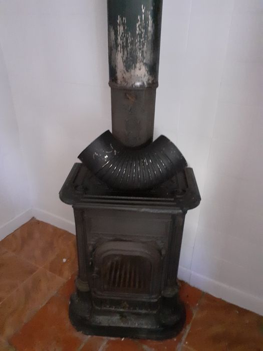 Salamadra em bom estado