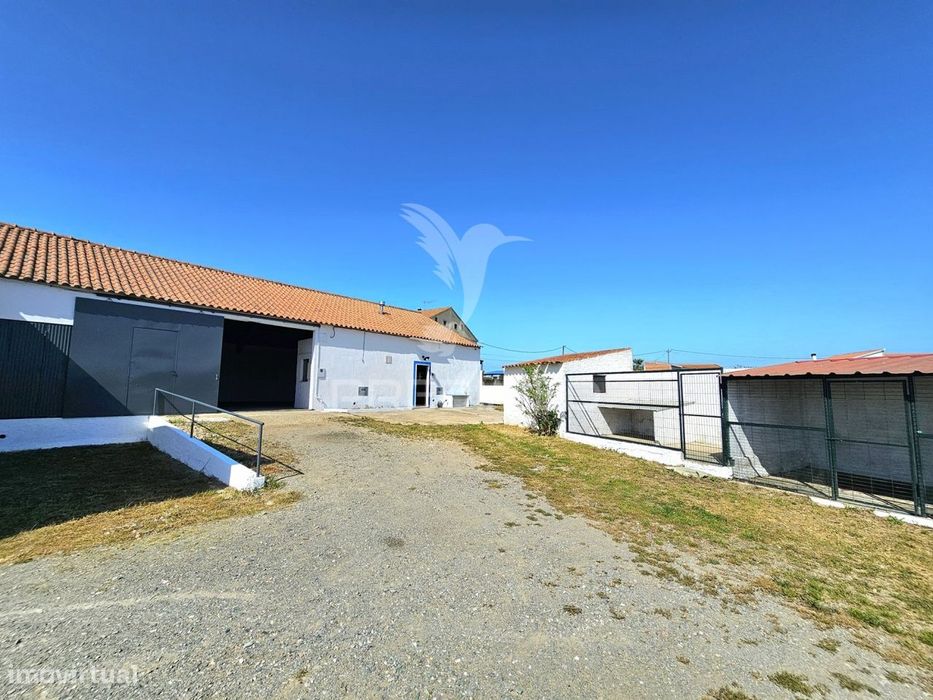 Moradia com dois armazéns e terreno