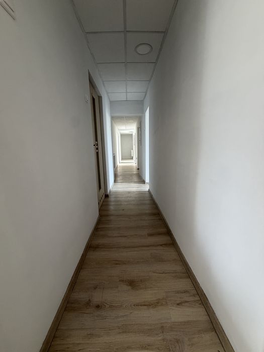 Zdjęcie 6