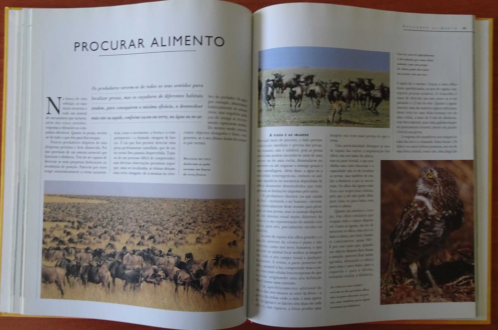 A Vida Secreta dos Animais