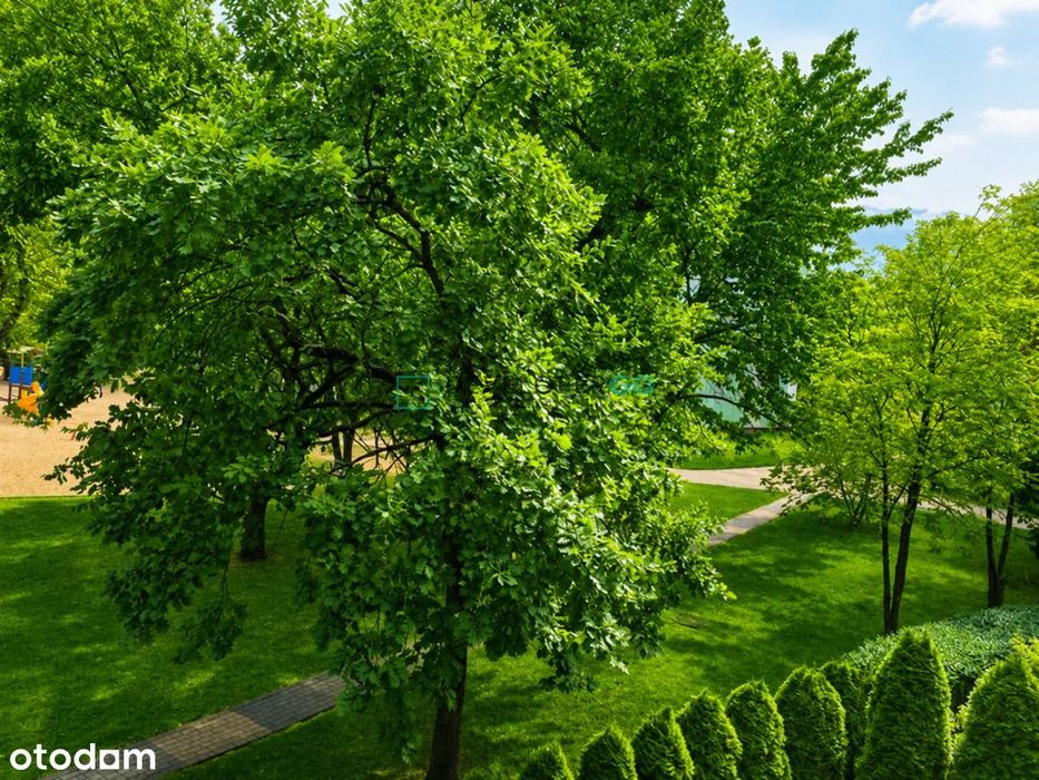 Czteropokojowe mieszkanie 69,4 m², 1 piętro