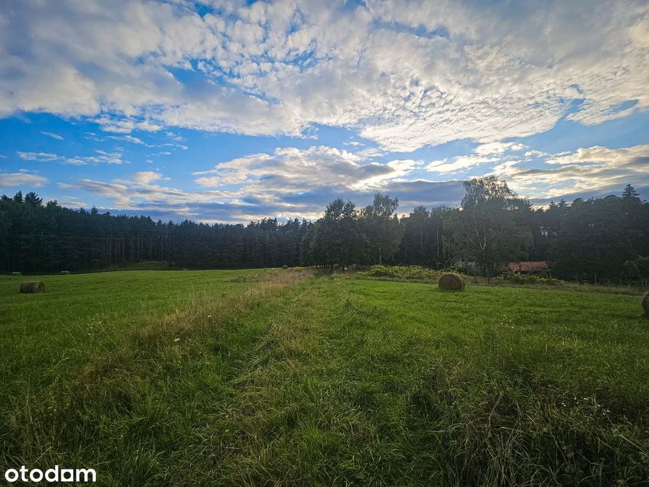 Urocze siedlisko 10,97 ha otoczone lasem – Klewno gmina Reszel - Widok 5