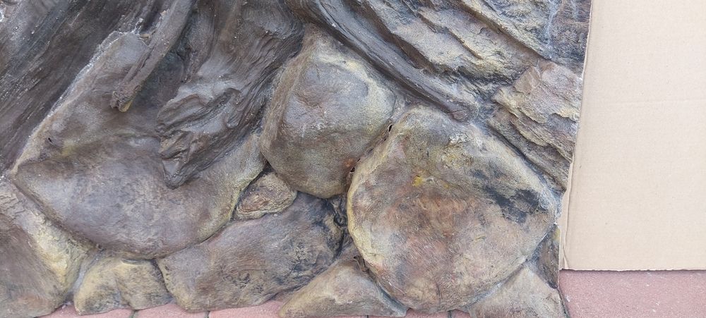 Tło strukturalne amazonka