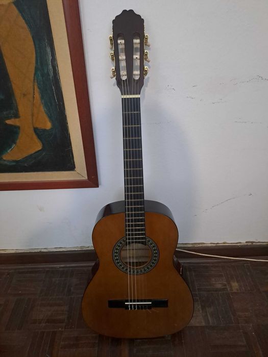 Viola 3/4 com saco para transporte