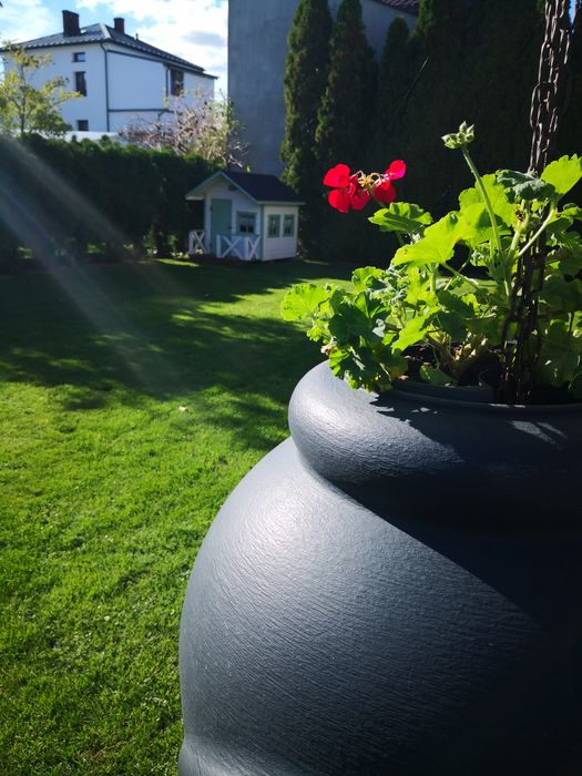 Podlaski Czek  Turystyczny Noclegi Augustów apartament
