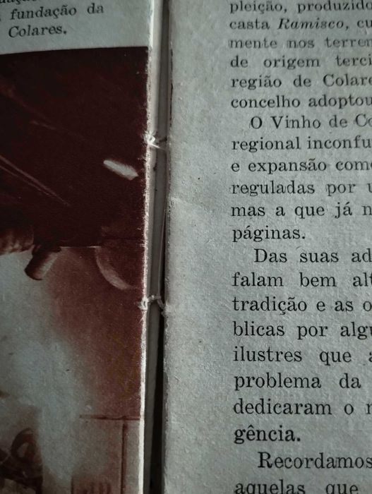 O vinho de Colares, edição de 1938