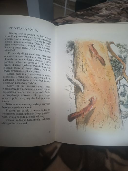 Książka Leśne obrazki Iwan Sokołow-Mikitow
