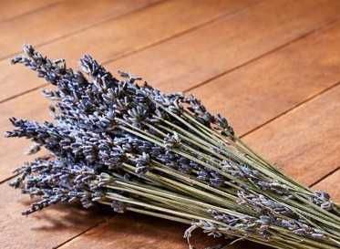 Ramo de lavanda seca natural