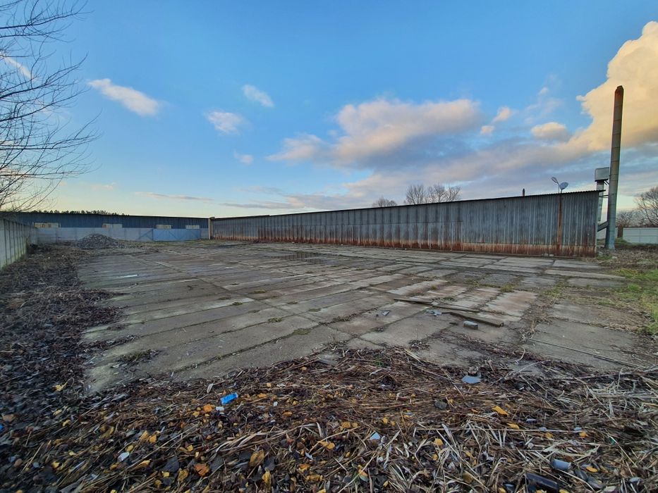 Hala magazynowa 600m + 50 arów  wynajmę