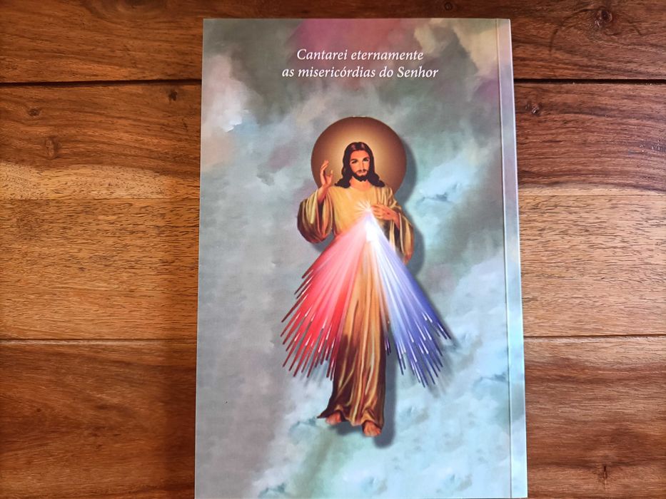 Livro Padre Júlio Gritti SCJ - Como Novo