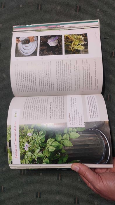 Faça a sua Horta Biológica - Gayla Trail