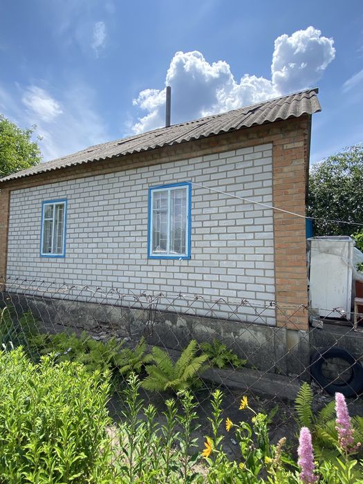 Продам дачу СТ Дружба біля лісу