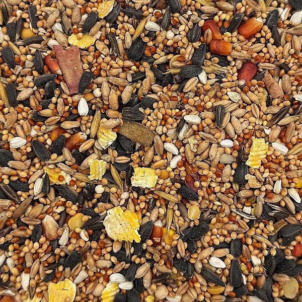 Karma Dla Papug Średnich 4,5Kg Papugi Nimfa Rozella Pokarm Standard Ch