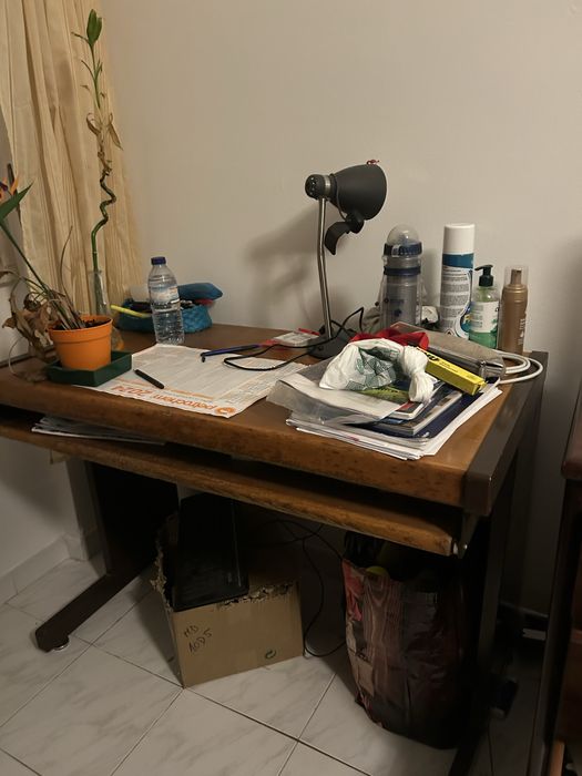 Secretária (estado bom)