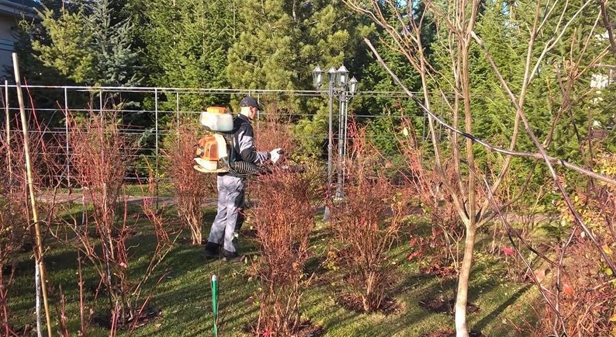 Професійний догляд за насадженями. Озеленення