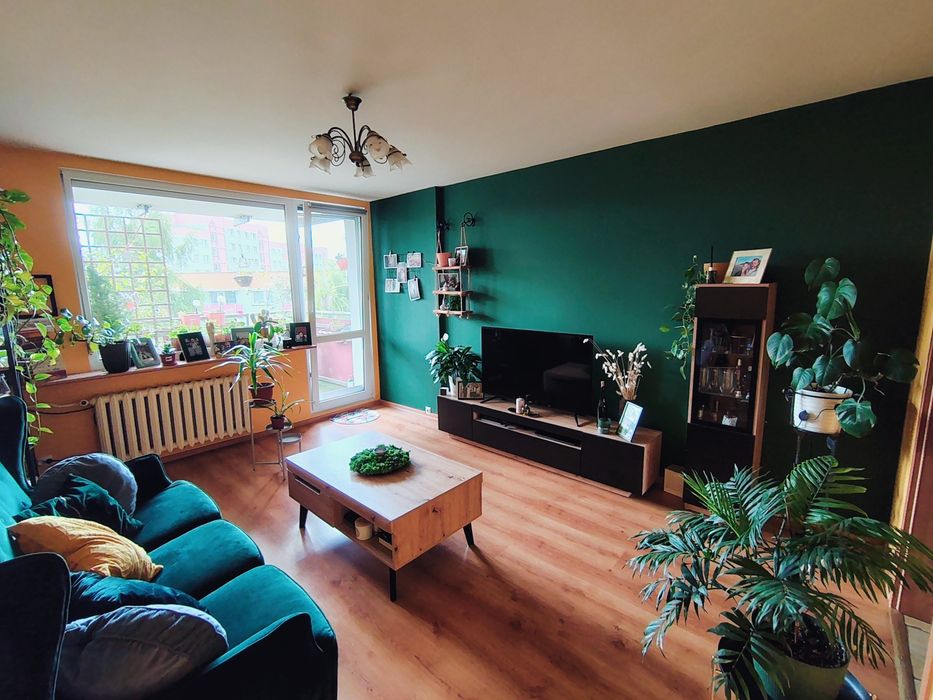 Mieszkanie 67 m², 3pokoje, oś U, 4piętro - Widok 2