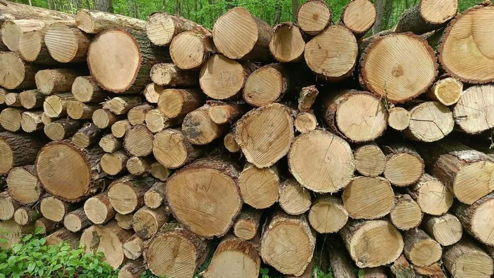 Drewno Opałowe i Kominkowe