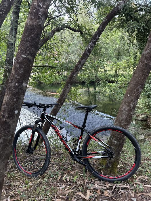 Coluer Pragma 29er