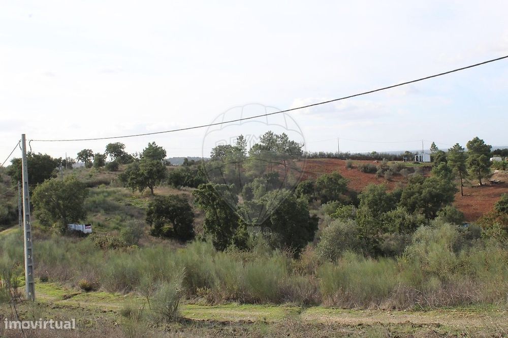 Terreno  para venda — Montargil, Portalegre