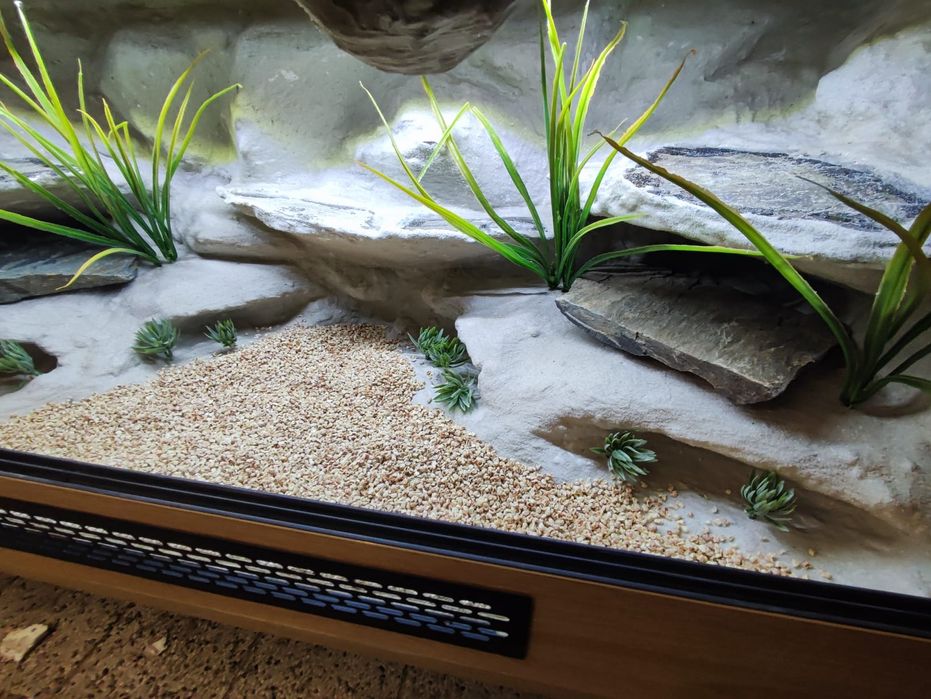 Terrarium 100x40x40 dla gekonów lamparcich PETMARKET