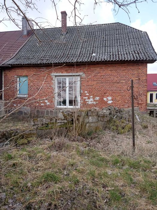 Zdjęcie 3