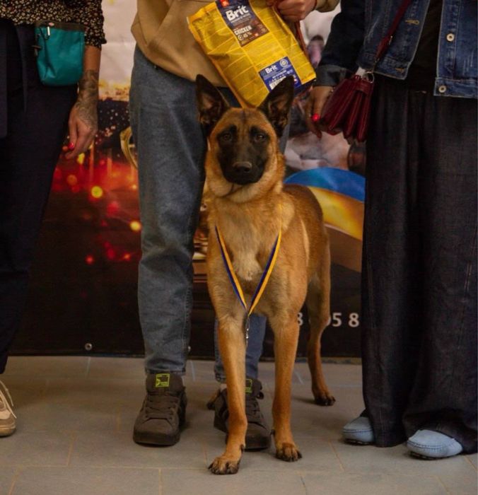 Цуцянята Малінуа