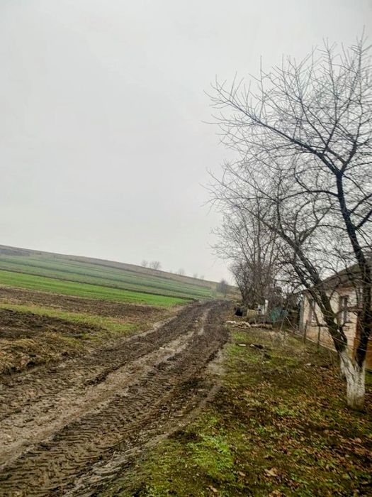 Земельна ділянка в Обарові.
