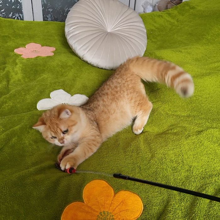 Мальчик -красавчик!