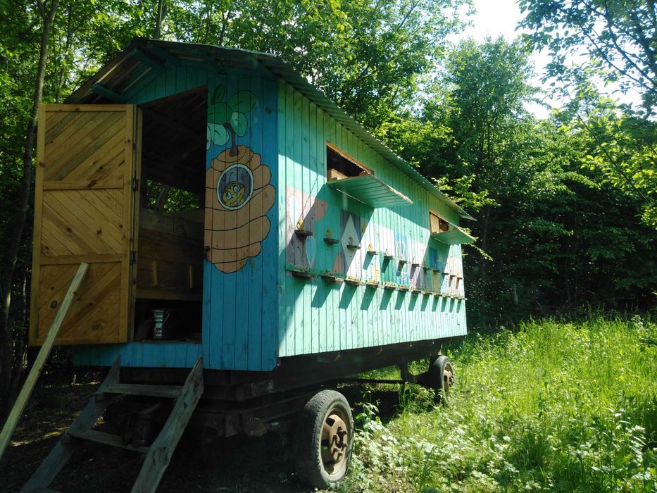 Бджолопавільйон, пасіка, бджоли