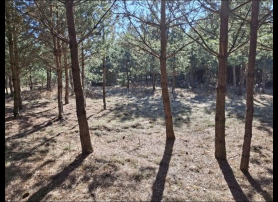 Działka na mazurach, wieś Kolonia gmina Świętajno. Wydane war.zabudowy