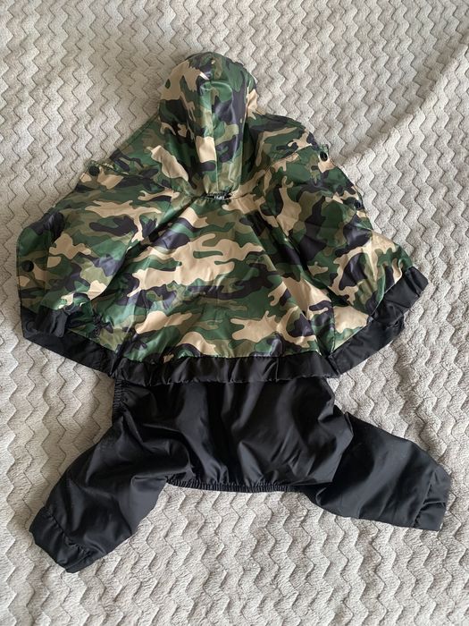 Дощовик для собачки маленькоі породи