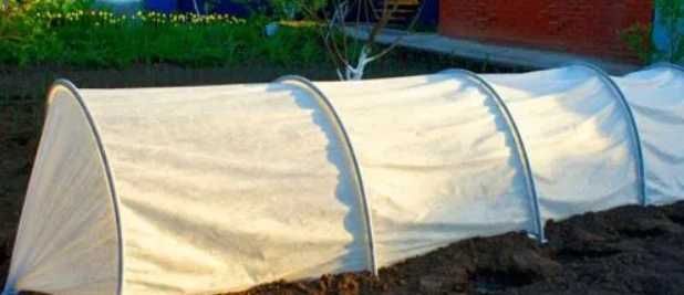 Парник отличного качесва длинной 4м и плотности 40
