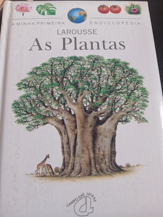 Vários livros infantis e juvenis