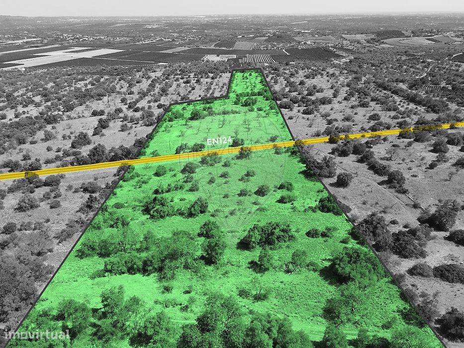 Terreno  para venda — São Bartolomeu de Messines, Faro