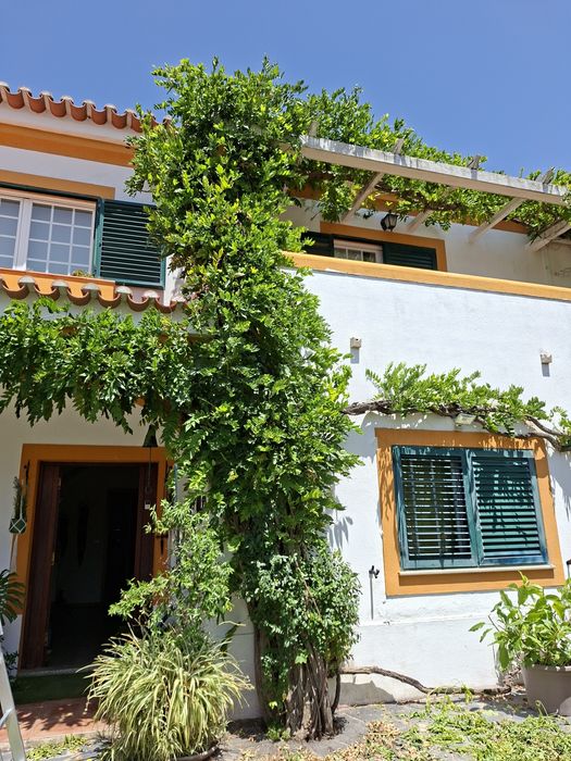 Jardineiro – Corte de Relva, Podas e Limpeza de Jardins