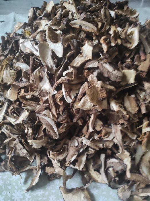 4 kg suszonych prawdziwki podgrzybki kozaki mieszanka