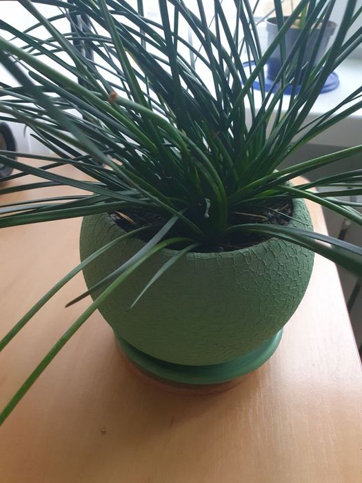 Продам вазон 