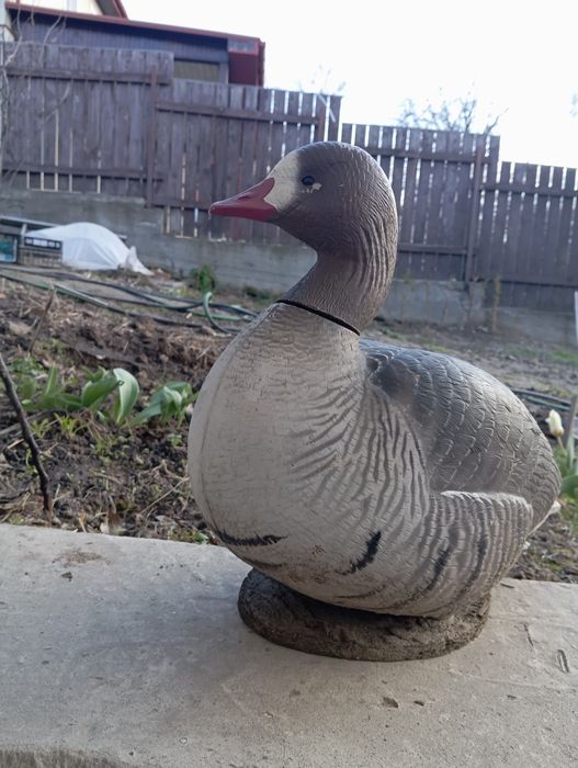 Садова качка пластмасова.