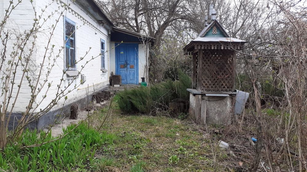 Будинковолодіння Гречанівка. 40 соток землі