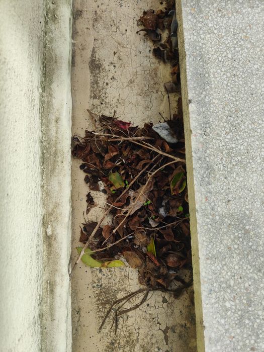 Limpeza de algerozes